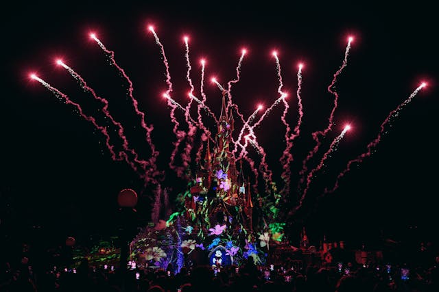 fuoci d'artificio per Natale Disneyland Paris Offerte (5)